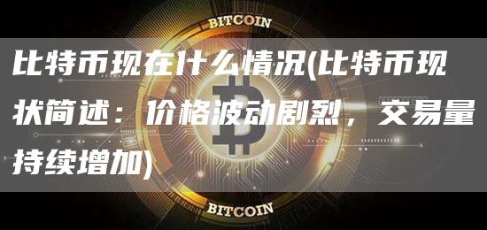 比特币现在什么情况 - 比特币现状简述：价格波动剧烈，交易量持续增加